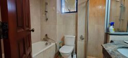 Carissa Park Condominium (D17), Condominium #556711821